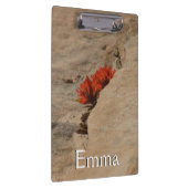 Indiaas penseel in Rocks bij Zion Klembord (Rechts)