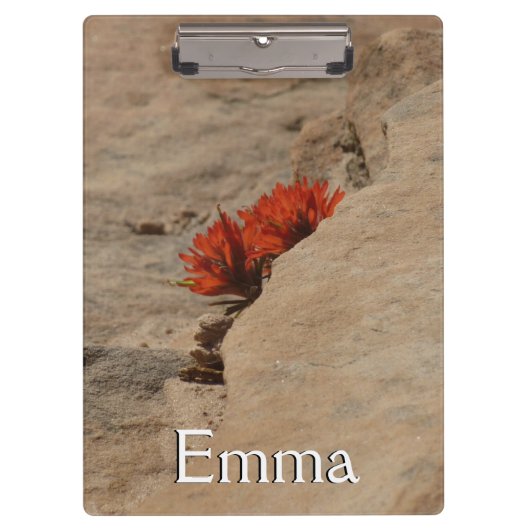 Indiaas penseel in Rocks bij Zion Klembord (Voorkant)