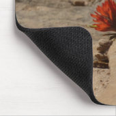 Indiaas penseel in Rocks bij Zion Muismat (Hoek)