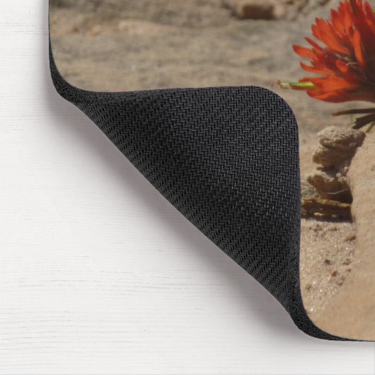 Indiaas penseel in Rocks bij Zion Muismat (Hoek)