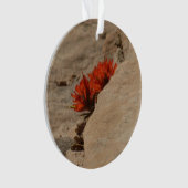 Indiaas penseel in Rocks bij Zion Ornament (voorkant)