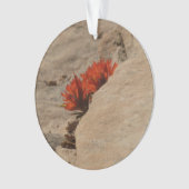 Indiaas penseel in Rocks bij Zion Ornament (voorkant)