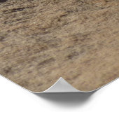 Indiaas penseel in Rocks bij Zion Poster (Hoek)