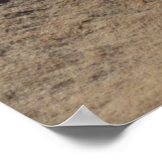 Indiaas penseel in Rocks bij Zion Poster (Hoek)