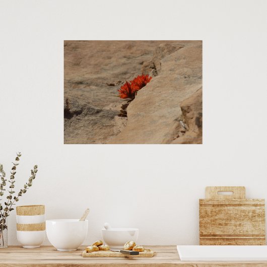 Indiaas penseel in Rocks bij Zion Poster (Keuken)