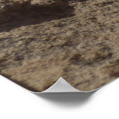 Indiaas penseel in Rocks bij Zion Poster (Hoek)