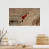 Indiaas penseel in Rocks bij Zion Poster (Keuken)