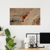 Indiaas penseel in Rocks bij Zion Poster (Thuiskantoor)