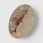 Indiaas penseel in Rocks bij Zion Ronde Klok (Hoek)