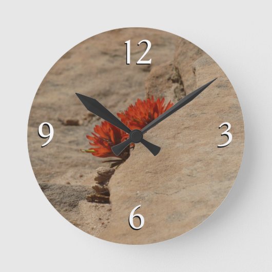 Indiaas penseel in Rocks bij Zion Ronde Klok (Voorkant)