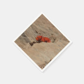 Indiaas penseel in Rocks bij Zion Servet (Hoek)