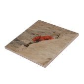 Indiaas penseel in Rocks bij Zion Tegeltje (Zijkant)