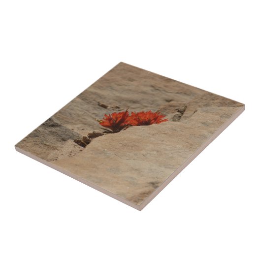 Indiaas penseel in Rocks bij Zion Tegeltje (Zijkant)