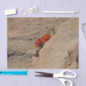 Indiaas penseel in Rocks bij Zion Tissuepapier (Craft)