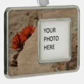 Indiaas penseel in Rocks bij Zion Verzilverd Omlijst Ornament (Rechts)