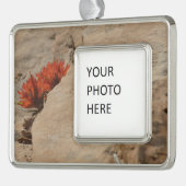 Indiaas penseel in Rocks bij Zion Verzilverd Omlijst Ornament (Links)