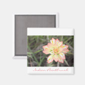 Indiaas penseelmagneet magneet (Voorkant / Achterkant)