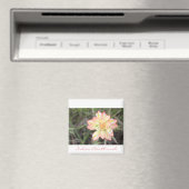 Indiaas penseelmagneet magneet (Insitu (Vaatwasser))