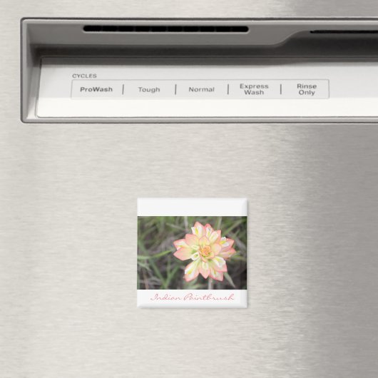 Indiaas penseelmagneet magneet (Insitu (Vaatwasser))