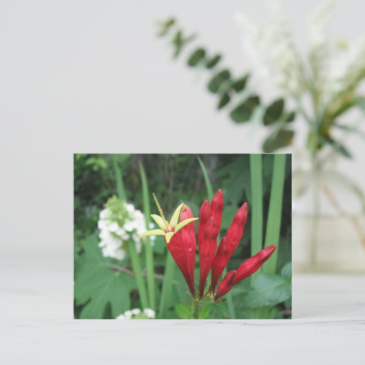 Indiaas Roze Briefkaart (Staand voorkant)