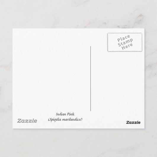 Indiaas Roze Briefkaart (Achterkant)