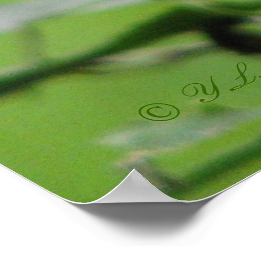 Indiaas Roze Poster (Hoek)