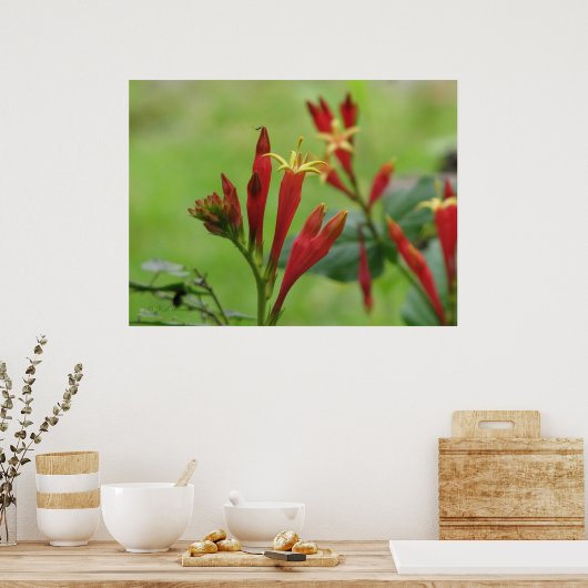 Indiaas Roze Poster (Keuken)