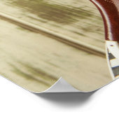 Indiaas Sitar String Instrument Poster (Hoek)