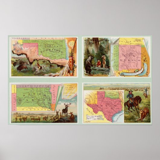 Indiaas Territorium, New Mexico, South Dakota, Tex Poster (Voorkant)