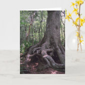 Indian Artifact Custom Louisiana Wenskaart Kaart (Gele Bloem)