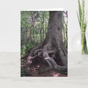 Indian Artifact Custom Louisiana Wenskaart Kaart