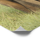 Indian / Asian Elephant and Young one, Corbett Poster (Hoek)