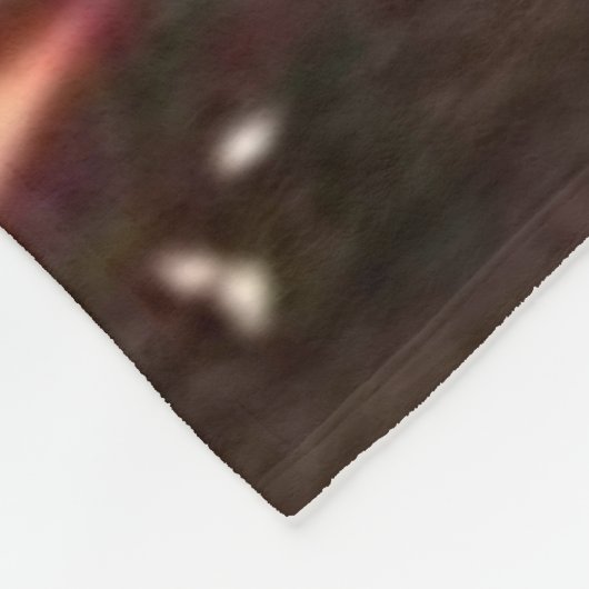 INDIAN BLANKET (gesimuleerd) Vliegtuigbakken Fleece Deken (Hoek)