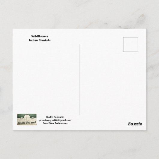 Indian Blankets POSTCARD Briefkaart (Achterkant)