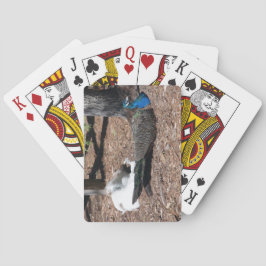 Indian Blue and White Pheasants playing cards Pokerkaarten