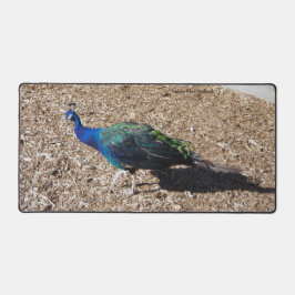 Indian Blue Peafowl deskmat Bureaumat