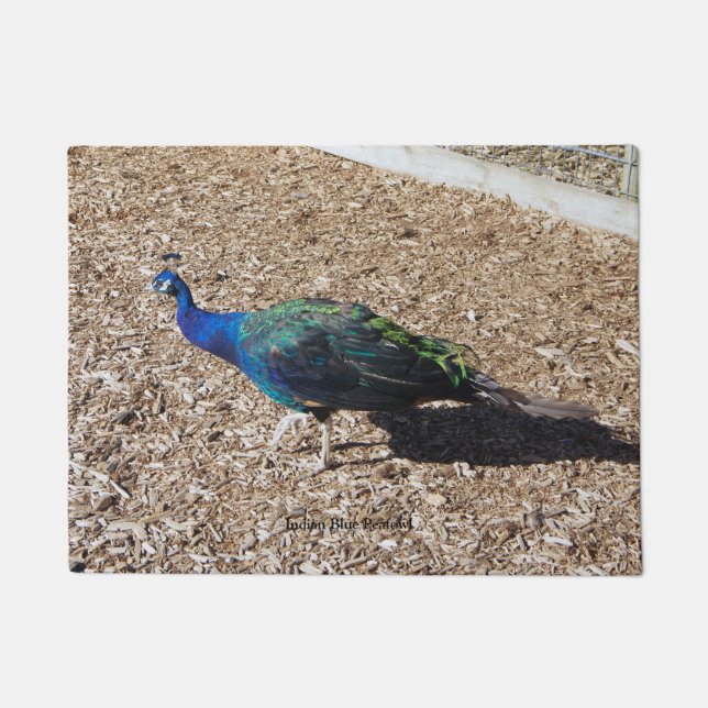 Indian Blue Peafowl door mat (Voorkant)