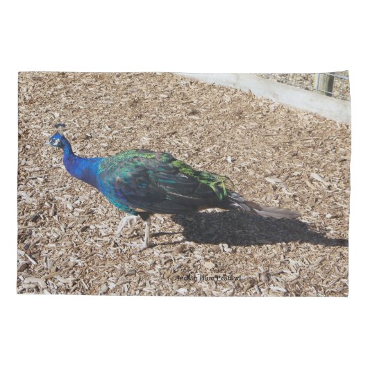 Indian Blue Peafowl pillowcase Kussensloop (Achterkant)