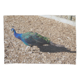 Indian Blue Peafowl pillowcase Kussensloop