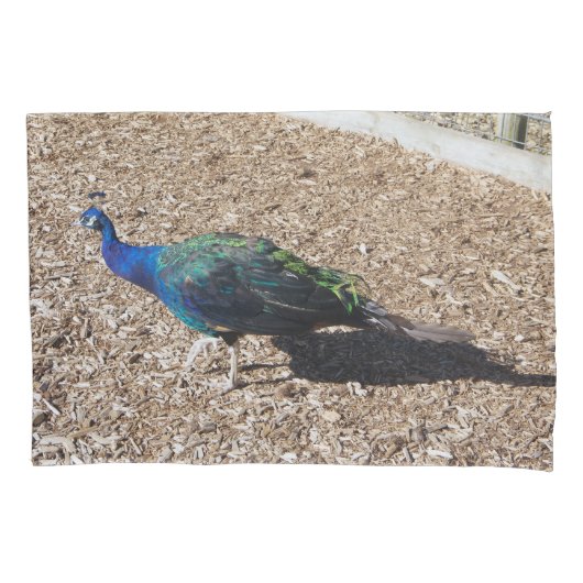 Indian Blue Peafowl pillowcase Kussensloop (Voorkant)