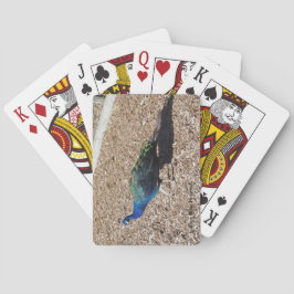 Indian Blue Peafowl playing cards Pokerkaarten