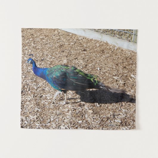 Indian Blue Peafowl tapestry Wandkleed (Voorkant (horizontaal))