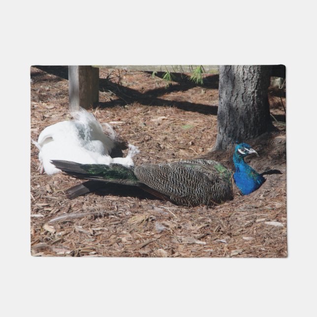 Indian Blue & White Pheasants door mat (Voorkant)