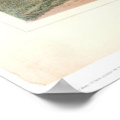 Indian Buffalo Hunt: "Close Quarters" (0743A) Poster (Hoek)