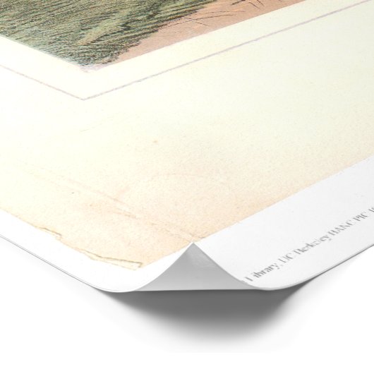 Indian Buffalo Hunt: "Close Quarters" (0743A) Poster (Hoek)