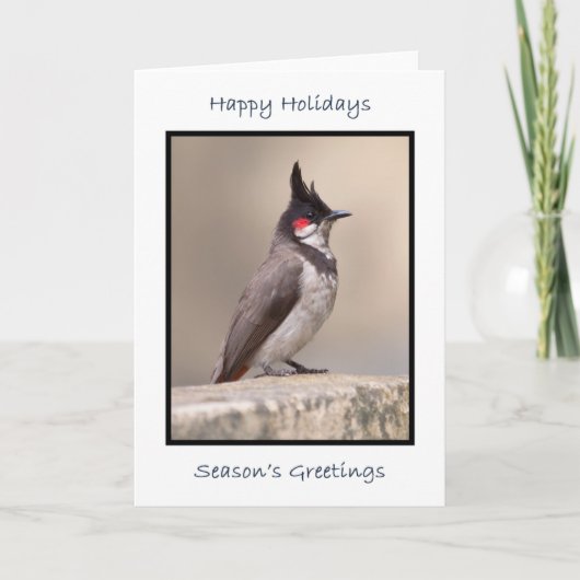 Indian Bulbul Kaart (Voorkant)