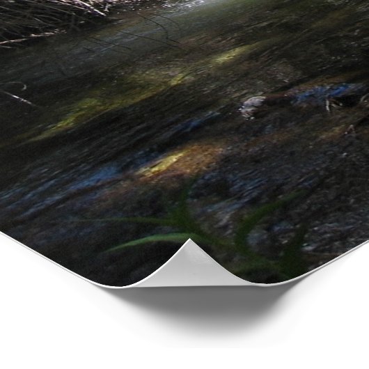 Indian Canyon (2) Poster (Hoek)