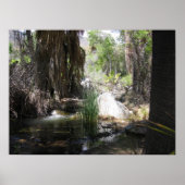 Indian Canyon (2) Poster (Voorkant)