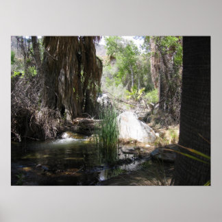 Indian Canyon (2) Poster