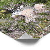 Indian Canyon (8) Poster (Hoek)